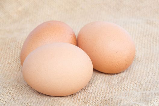 close up eggs on sack background.