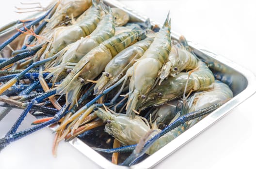 giant  river prawn is ready to grill ( Macrobrachium rosenbergii )