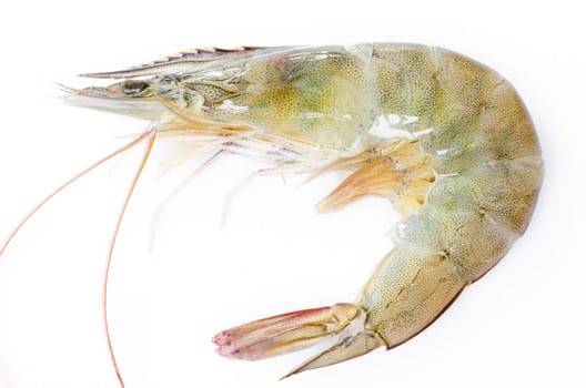 Close up banana prawn or shrimp on white background.