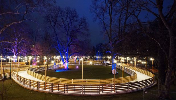 ice rink in the park