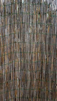 Bamboo wall fence vertical
