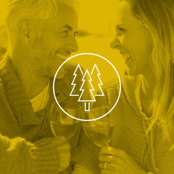 Couple enjoying white wine on picnic at the beach smiling at each other against christmas trees
