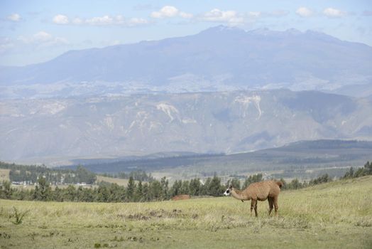 Latin American picturesque mountain view.