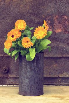  Bouquet of marigold in a rusty cans


