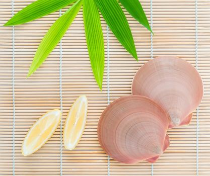 Raw queen scallops with lemon slice  on bamboo background and  bamboo leaves .