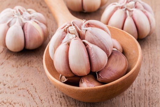Close Up organic garlic in wooden spoon on the teak wood background