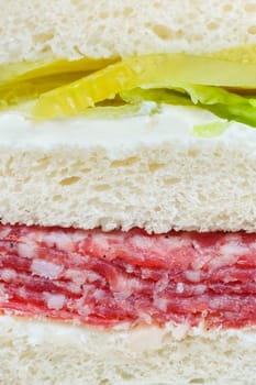 carpaccio raw meat and vegetables sandwich, closeup with layers visible