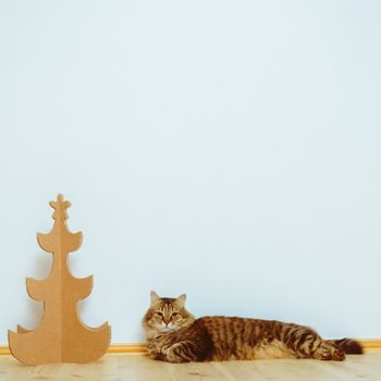 Christmas Tree Made Of Cardboard. Unique Trees. New Year