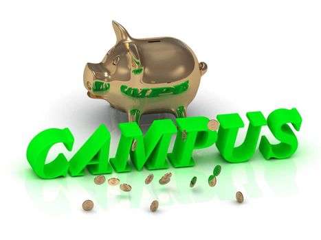 CAMPUS- inscription of bright green letters and gold Piggy on white background