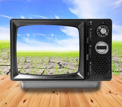 TV vintage and Agriculture paddy field, Eco concept.