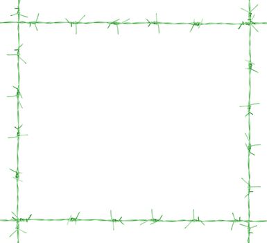 Green Barb frame. isolated on white background. clipping path.