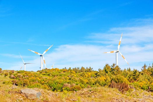 wind turbines in natural landscape - green meadow