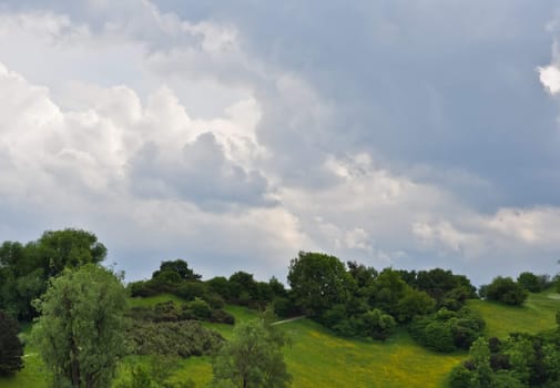 landscape with green juicy leaves and beautiful cumulus clouds
