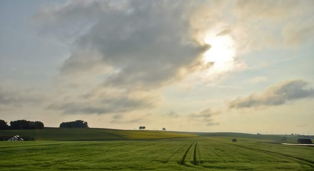 landscape with green juicy leaves and beautiful cumulus clouds