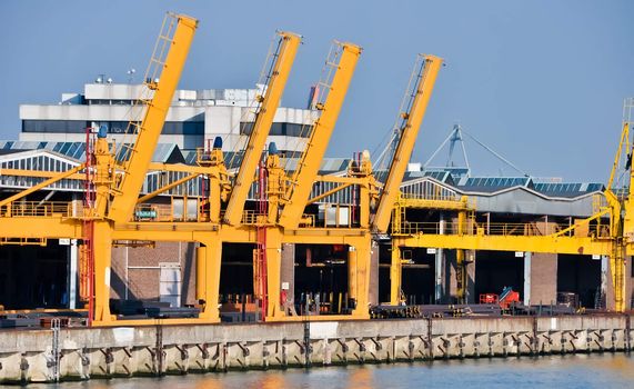 in the Rotterdam sea cargo port - skyline