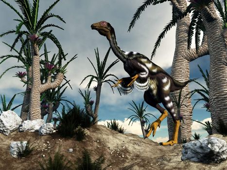 One caudipterix dinosaur walking among williamsonia trees by cloudy day - 3D render