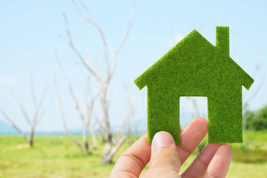 hand holding green house icon concept