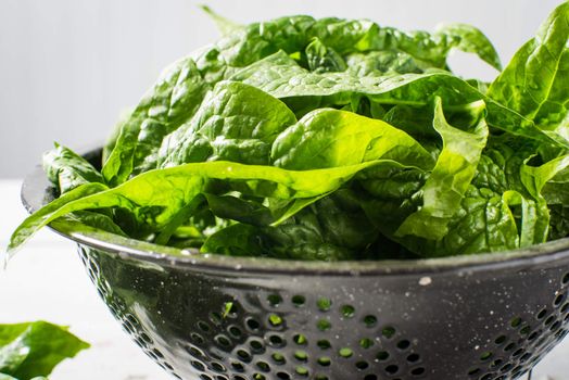 Fresh washed green spinach from the garden healthy