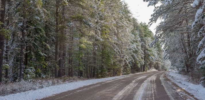 Bright sunny and frosty winter morning finds the forests draped frozen in fresh fallen snow.