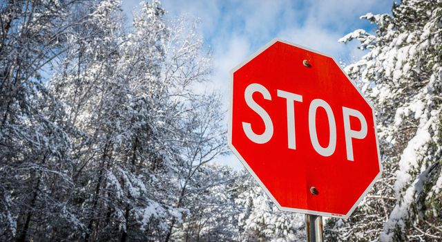 A stop sign shines blazing red in stark contrast to a winter woods backdrop.