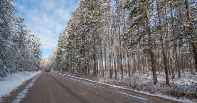 A logging truck in the distance, headed down the road to pick up its next load.