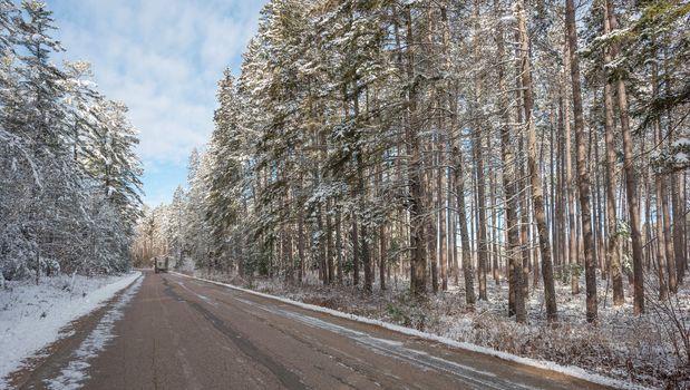 A logging truck in the distance, headed down the road to pick up its next load.