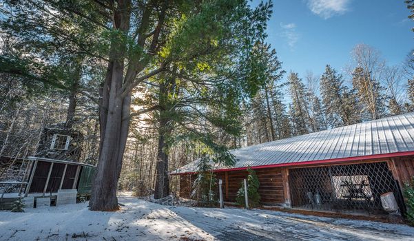 A pavilion and gathering point at a forestry research station.  Closed for the winter season.  Bright sunny winter day.