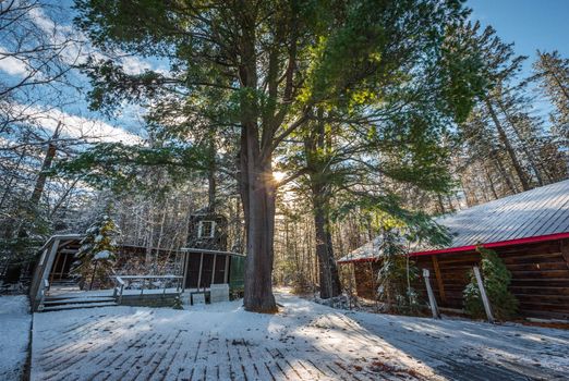 A pavilion and gathering point at a forestry research station.  Closed for the winter season.  Bright sunny winter day.