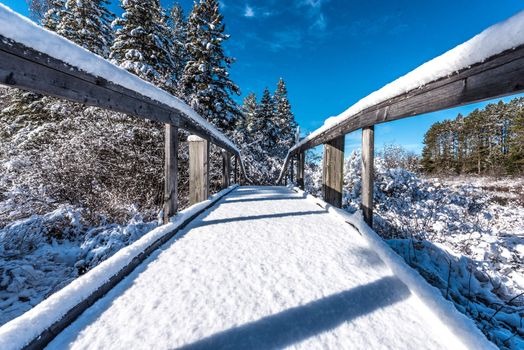 A fresh fallen snow covers a footbridge on a walking path in the woods.  Nature winter scenic.