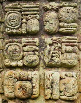 Mayan hieroglyphic writting icons in a stone stalae in Copan, Honduras