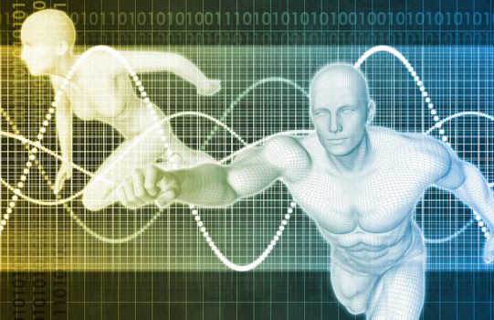 Fitness Training Program as a Art Concept