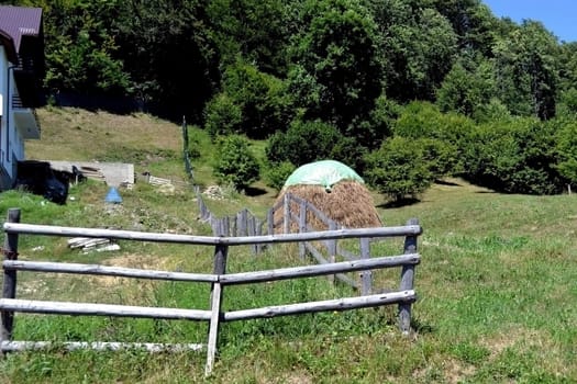 Forest mountain is fresh and raw. Blue sky above the mountains seen. Air dry grass.