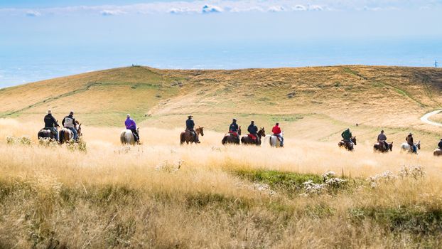 Horsemen proceed in single file through high grass of a hilly landscape.