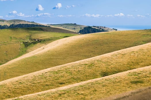 View of meadows in the mountains that create sinuous lines.