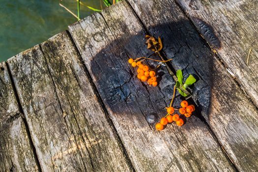 Rowanberry on a wooden burned board.