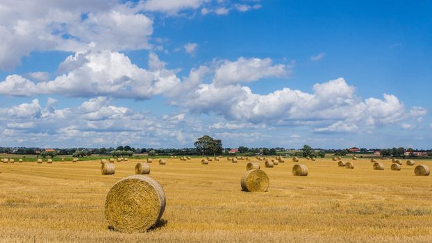 Rural landscape near Ystad, Scania region, Sweden.