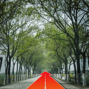tree natural tunnel on concrete road with red arrow, concept of keep go forward for success
