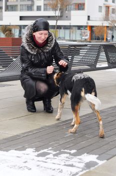 The woman in a sheepskin coat irons a stray dog in the winter.