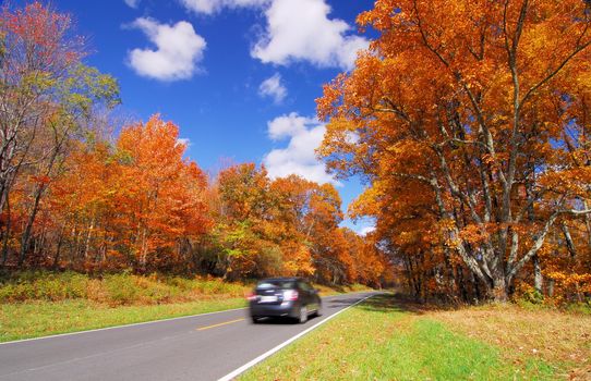 scenic drive in Orange Yellow Fall Foliage colors of Maple tree in Autumn