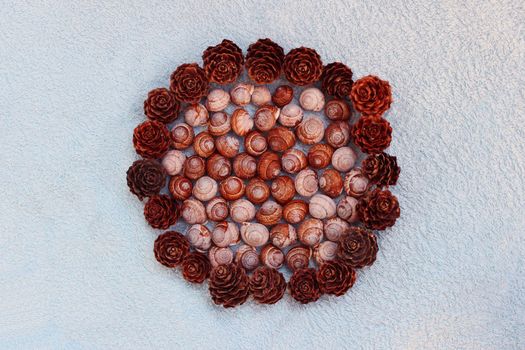 Decoration of shells of snails found in the Gatchina park and pine cones from Karelia