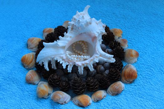 Decoration of Shell (Murex ramosus), shells of snails found in the Gatchina park, pearl beads, pine cones from Karelia and seashells from Arabian Sea.