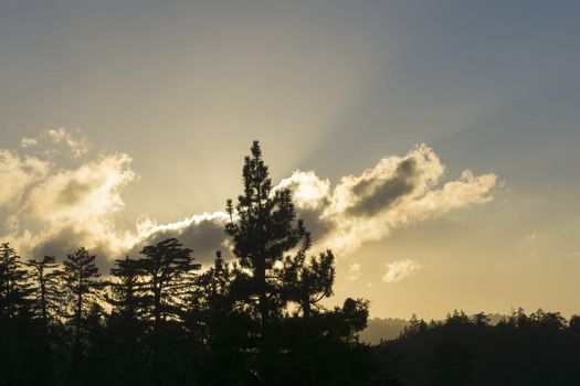 Backlit forest silhouette as setting sun catches on passing clouds lighting the sky above