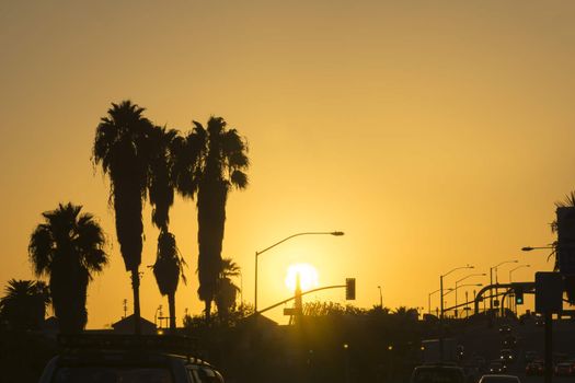 San Bernardo sunset, gently swaying palm trees silhouette back-lit by golden sky rush hour traffic in lower frame