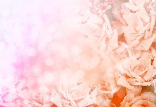beautiful flowers made with color filters