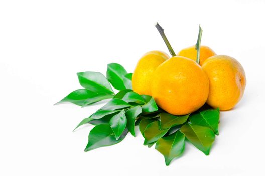 ripe orange fruit and leaves
