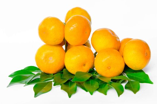 Many ripe orange fruit and leaves on whitge background.