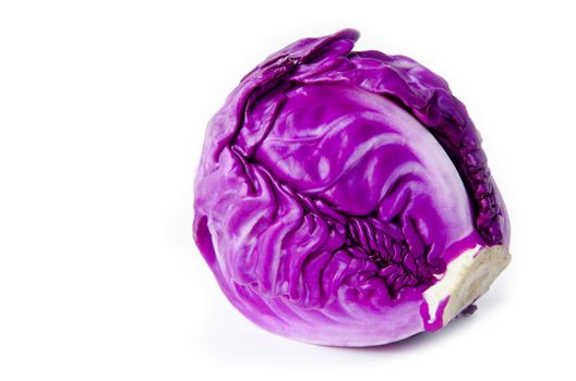 Purple cabbage