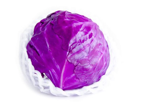 Purple cabbage and white foam net