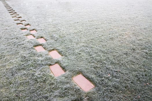 Brick pathway covered in either frost or snow on a very cold winter morning