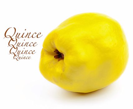 Perfect Ripe Quince with Inscription isolated on White background